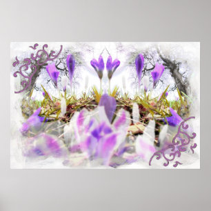 Poster Crocus printaniers