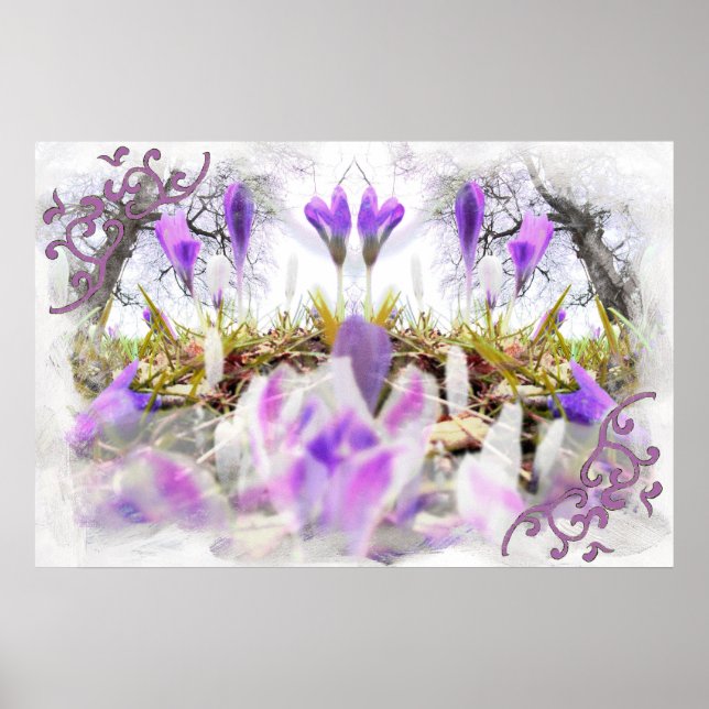 Poster Crocus printaniers (Devant)