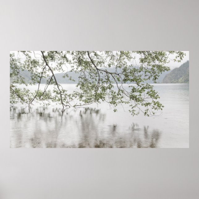 Poster Croissant du lac | Parc national olympique, WA (Devant)