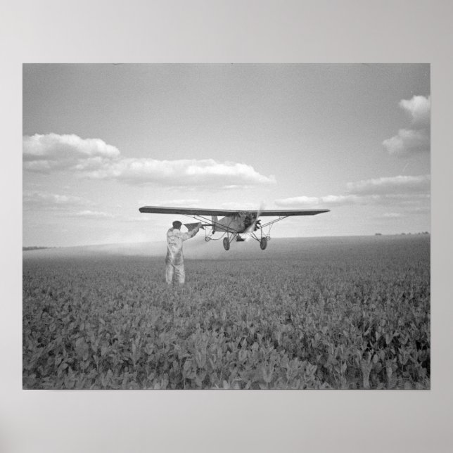 Poster Crop Duster, 1938. Photo vintage (Devant)