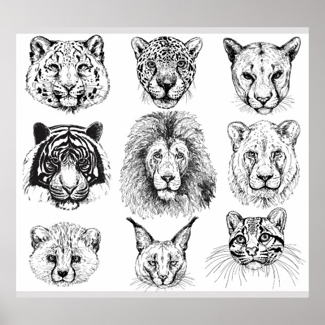 Poster Croquis à la main Portraits d'animaux (Devant)