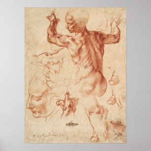 Poster Croquis anatomique vintage