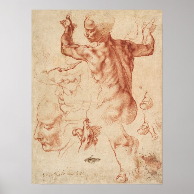Poster Croquis anatomique vintage (Devant)
