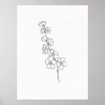 Croquis Chercher Blossom