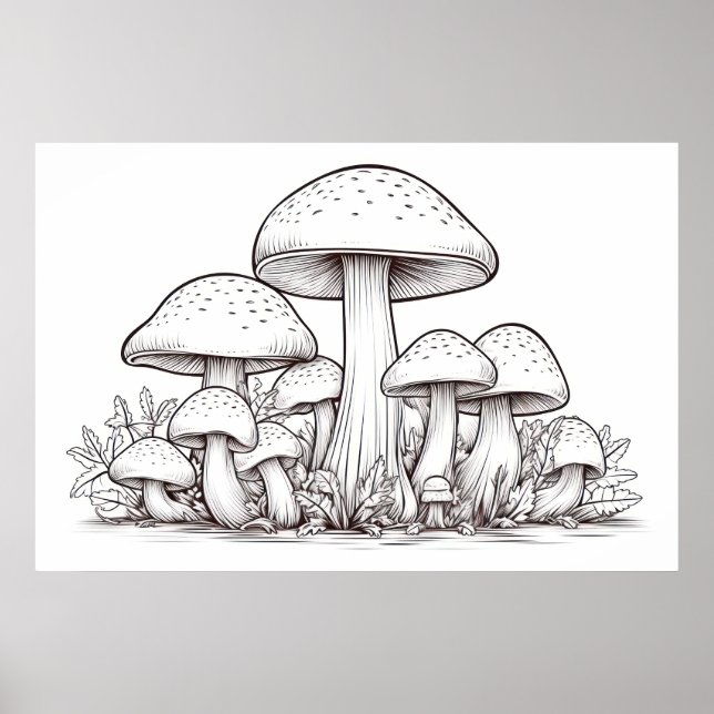 Poster Croquis de champignons (Devant)
