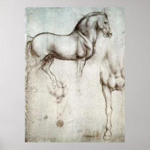 Poster Croquis de cheval