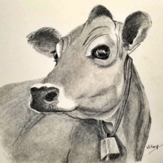 Poster Croquis de Jersey Cow