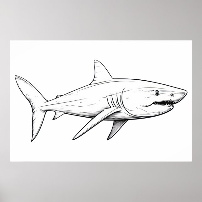 Poster Croquis de requin (Devant)