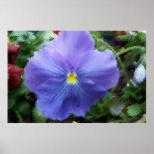 Poster Croquis doux Pansy Bleu