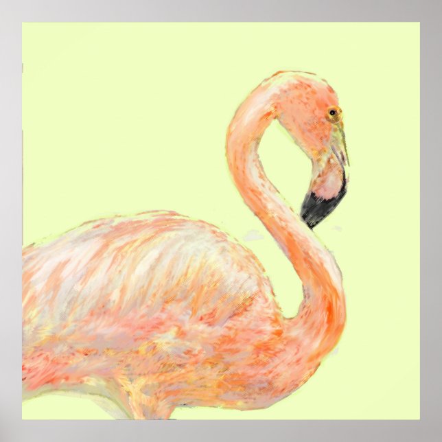 Poster croquis flamingo (Devant)