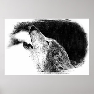 Poster Croquis noir et blanc Loup gris