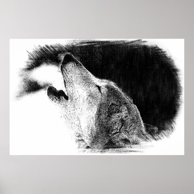 Poster Croquis noir et blanc Loup gris (Devant)