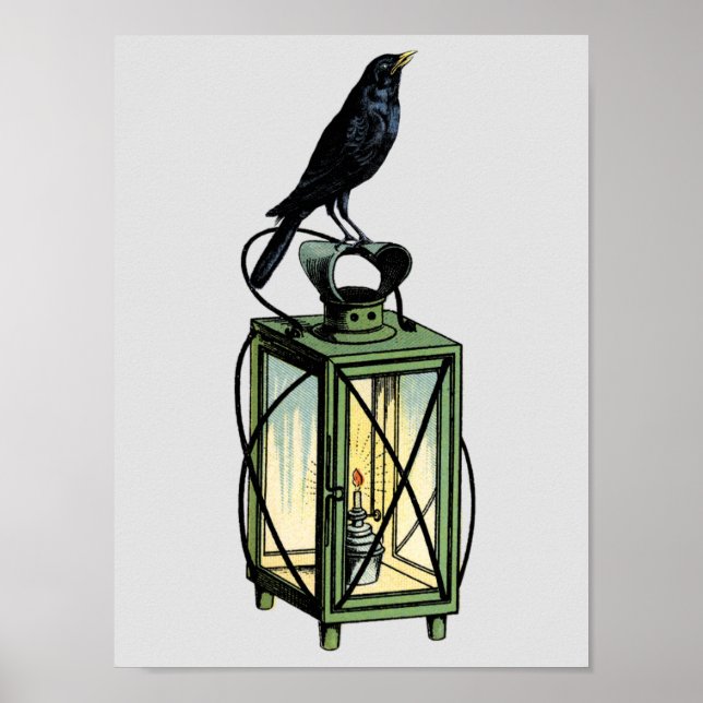 Poster Crow Attend Sur La Lanterne De Nuit (Devant)