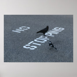 Poster Crow et Magpie