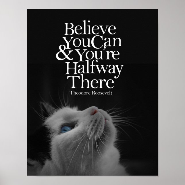 Poster Croyez Que Vous Pouvez Beau Cat Citation Motivatio (Devant)