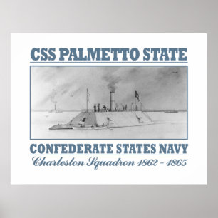 Poster CSS Palmetto State