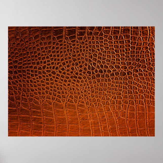 Poster Cuir de crocodile Brown (Devant)