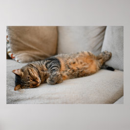Poster Cuisine Gris Noir Orange Chat Dormir