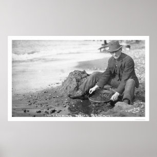 Poster Cuisson pour l'or Alaska 1907