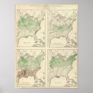 Poster Cultures, lithographie statistique des USA