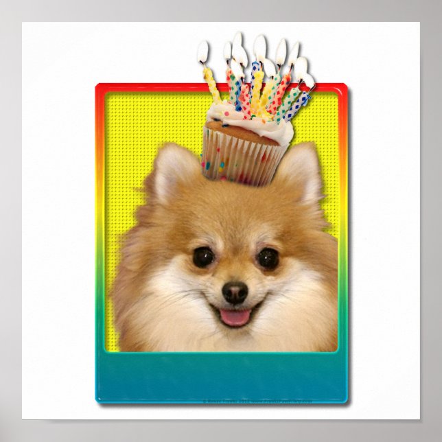 Poster Cupcake d'anniversaire - Pomeranian (Devant)