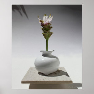 Poster Curcuma Floating Print -20x24 -autres tailles égal