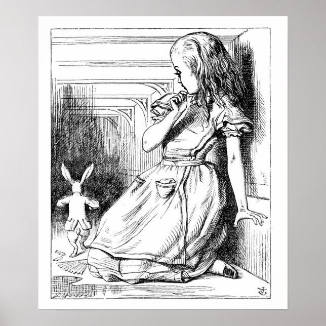 Poster Curieuse et curieuse ! (Devant)