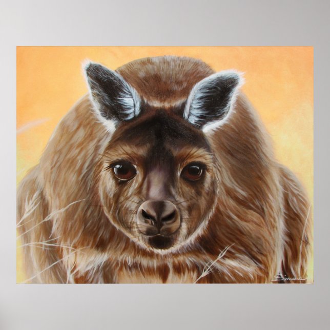 POSTER CURIEUX (Devant)