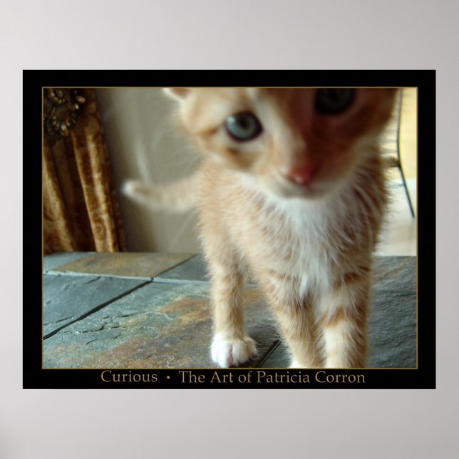 Poster Curieux (Devant)