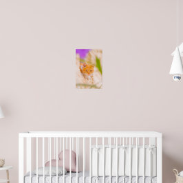 Poster Curieux Matin Maltais