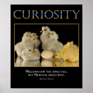 Poster CURIOSITY