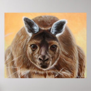 POSTER CURIOUS