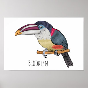 Poster Curl crested aracari bird cartoon