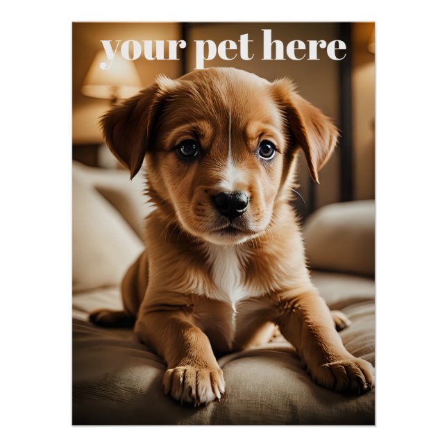 Poster Custom (Devant)