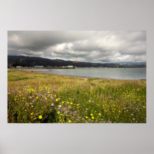 Poster Customizable Poster: Half Moon Bay in Spring