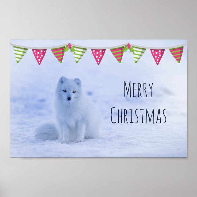 Poster Cute Arctic Fox sur Snowy Winter Arrière - plan (Devant)
