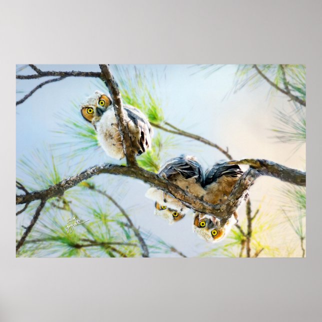 Poster Cute Baby Owl Faune Art fine Grande Chouette à la  (Devant)