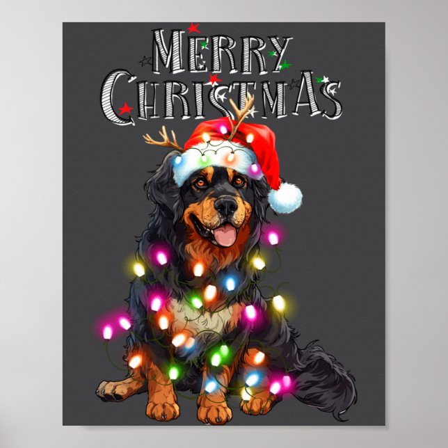 Poster Cute Bernese Mountain Christmas Lights Xmas Dog Lo (Devant)