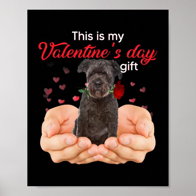 Poster Cute Bouvier Des Flandres This Is My Valentines Da (Devant)