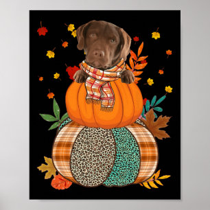 Poster Cute Chesapeake Bay Retriever Pumpkinthanksgiving