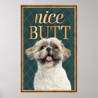 Poster Cute Chien Nice Butt Salle de bain
