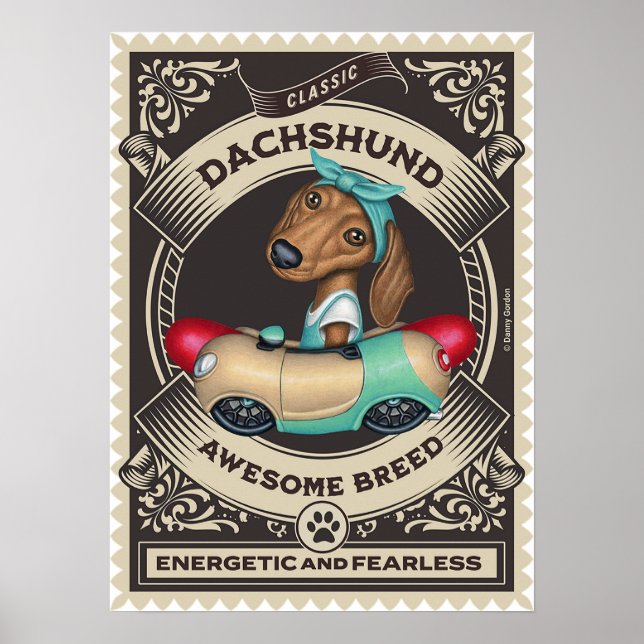 Poster Cute Dachshund en voiture en forme de saucisse (Devant)