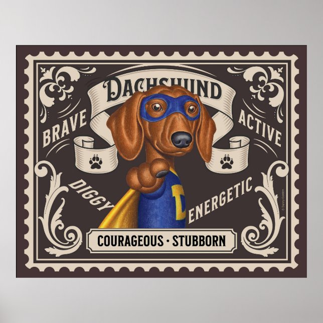 Poster Cute Dachshund Superhero (Devant)