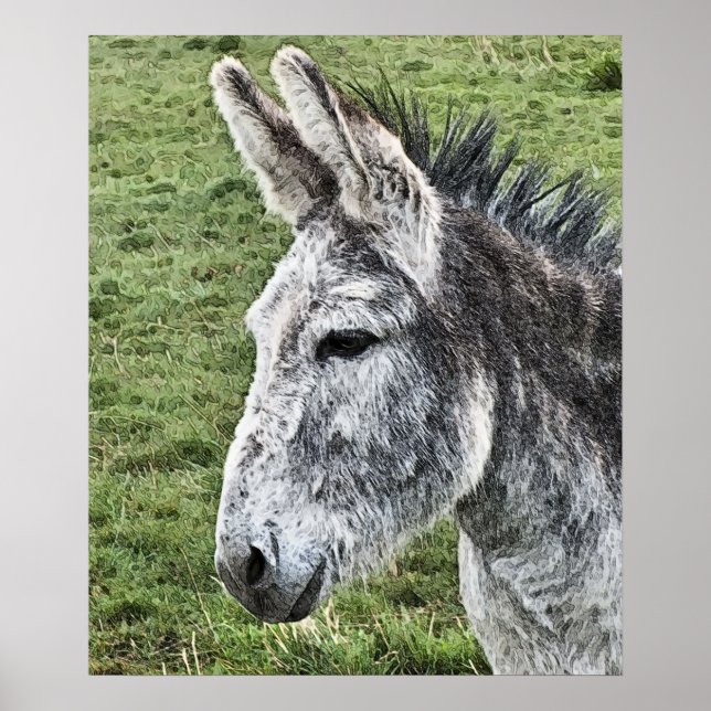 POSTER CUTE DONKEY (Devant)