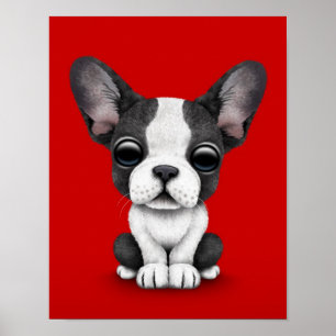 Poster Cute French Bulldog Puppy Dog on Red