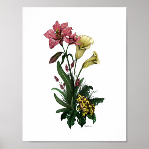 Poster Cute Frog Parmi Les Lilies Art Botanique Floral