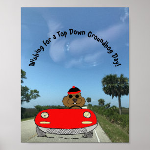 Poster Cute Groundhog en convertible