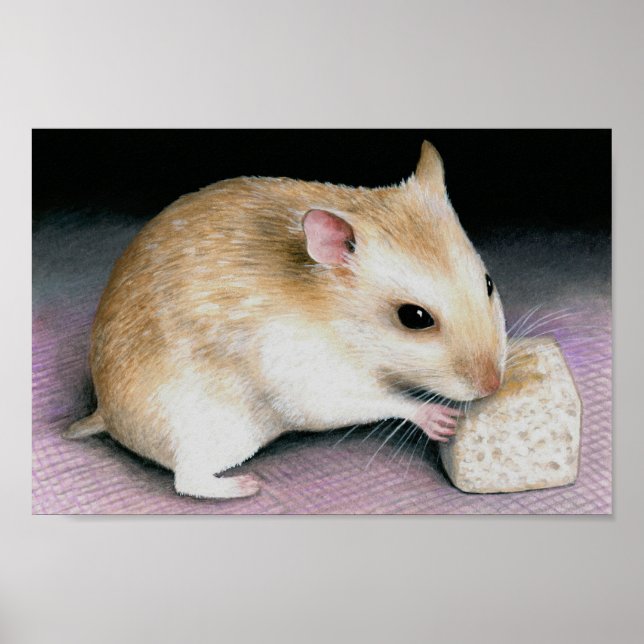 Poster Cute Hamster 18 (Devant)