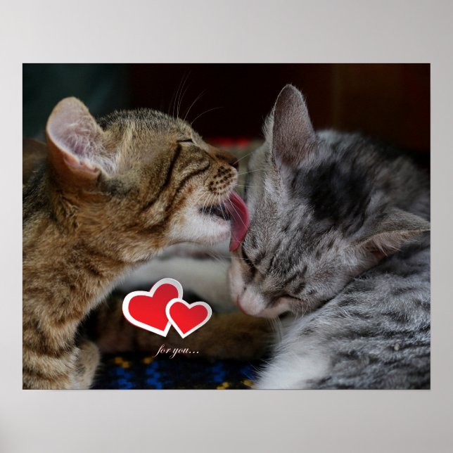 Poster Cute kittens (Devant)