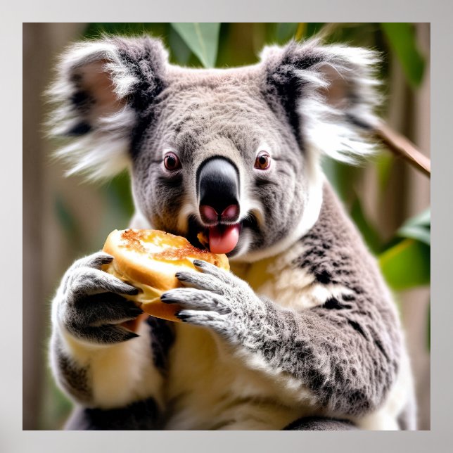 Poster Cute Koala Australienne Manger une tarte à la vian (Devant)